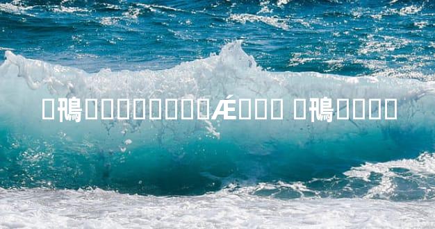 �鳵�⳵���۱��Ǽ��� �鳵��۸�